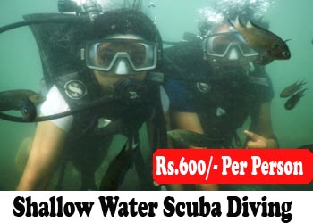 Shallow Water Scuba Diving